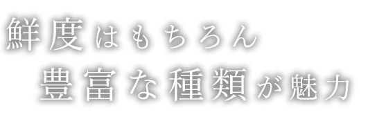 鮮度はもちろん豊富な種類が魅力