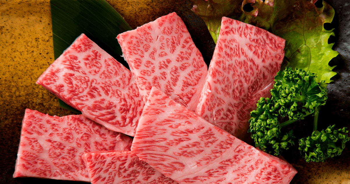 味来屋