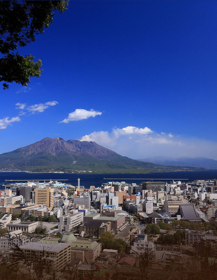 展望台からの景色